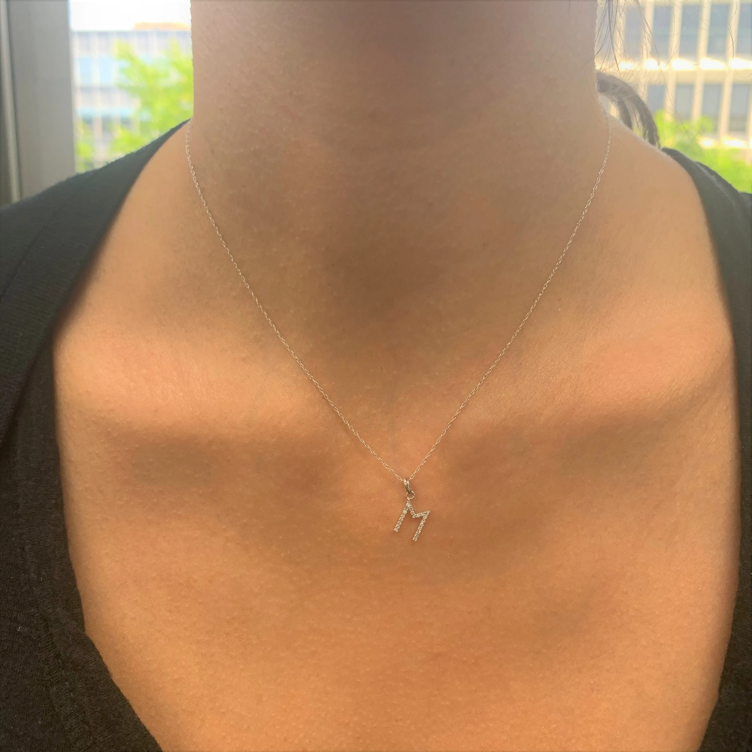 14k White Gold & Diamond Initial Necklace- P