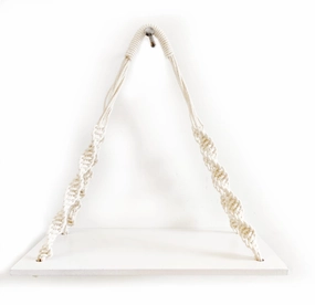 1 Tier Wooden White Wall Hanging Shelves With Rope cactus succulent plant  