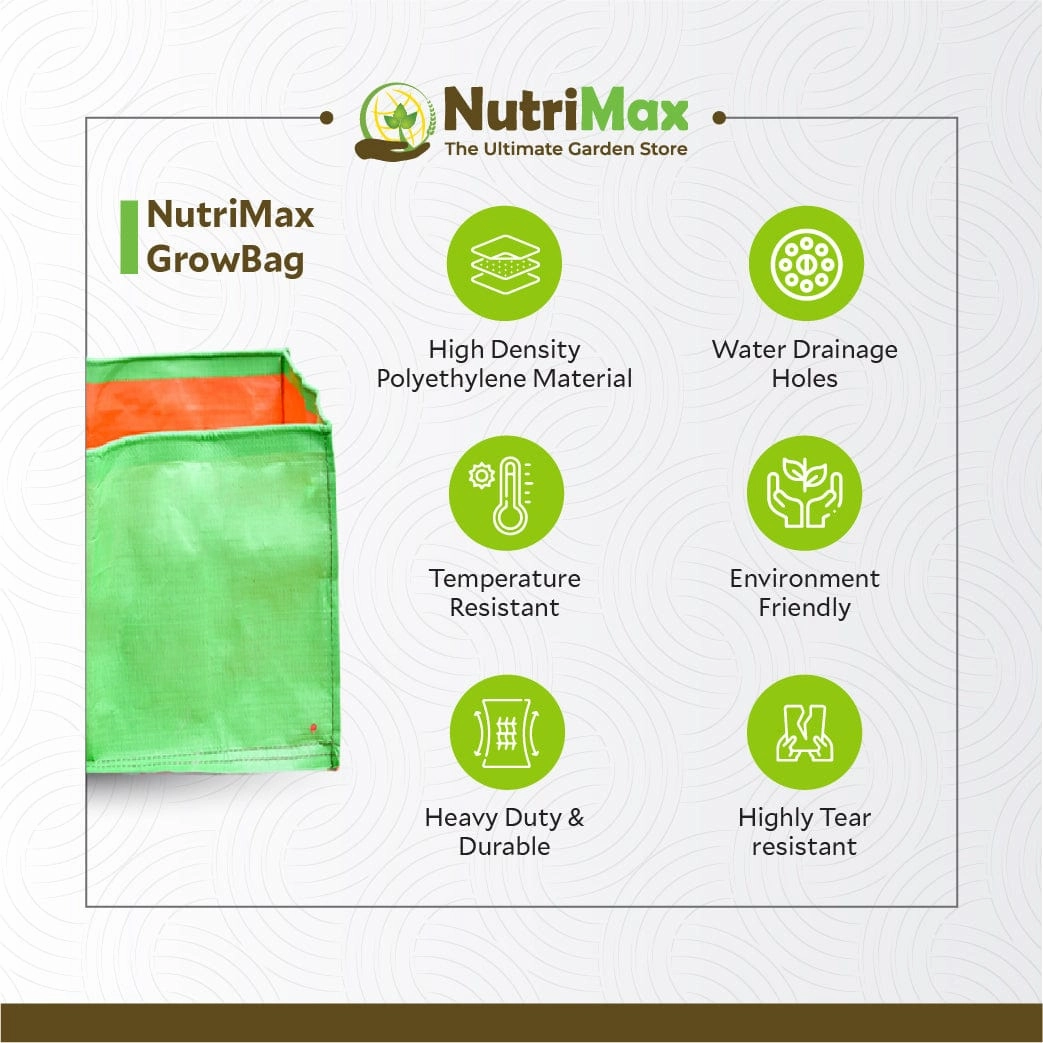 200 GSM HDPE Grow Bags 18 x18 x 8 inch Outdoor Plant Bag