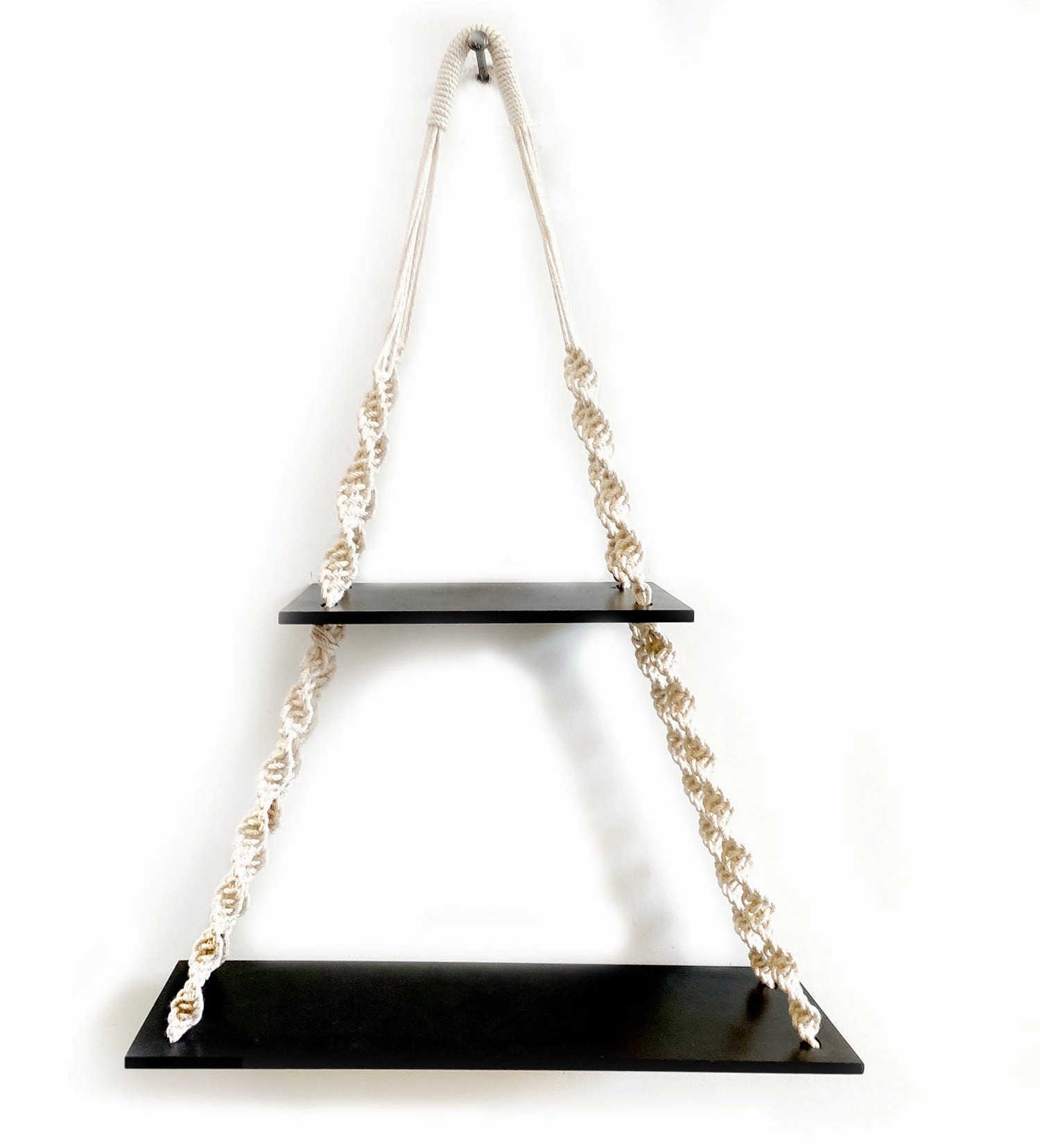 2 Tier Wooden Black Wall Hanging Shelves With Rope cactus succulent plant  