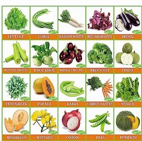 30 Varieties of Vegetable & Fruit Seeds small bud vase  