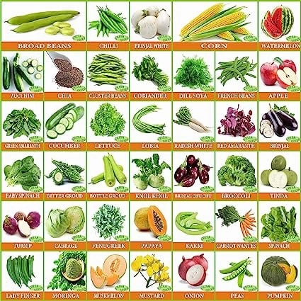 30 Varieties of Vegetable & Fruit Seeds