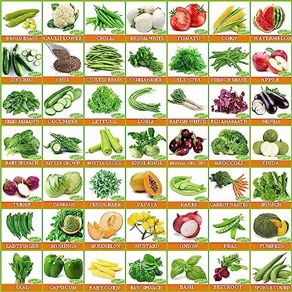 30 Varieties of Vegetable & Fruit Seeds