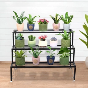 3 Step Stand for Multiple Plants and Pots Stand | Indoor Shelf Holder Rack | Gardening Stand | Indoor Outdoor (Black) cactus succulent plant  