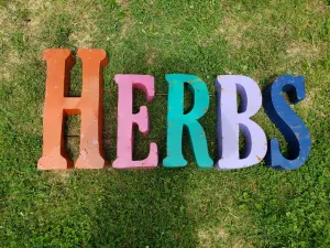 3D Herbs Sign decorative plants  
