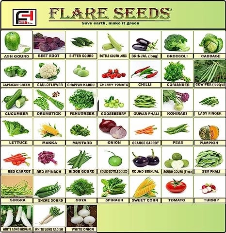 45 Varieties Vegetable 2500  Organic Seeds small bud vase  