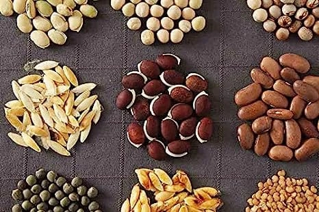 45 Varieties Vegetable 2500  Organic Seeds