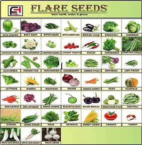 45 Varieties Vegetable 2500  Organic Seeds small bud vase  