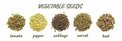 45 Varieties Vegetable 2500  Organic Seeds
