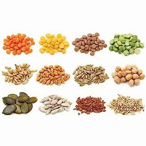 45 Varieties Vegetable 2500  Organic Seeds