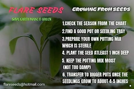 45 Varieties Vegetable 2550  Seeds