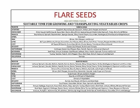 45 Varieties Vegetable 2550  Seeds
