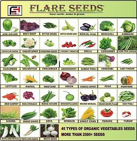 45 Varities of Vegetables 2500  Seeds With Instruction Manual small bud vase  
