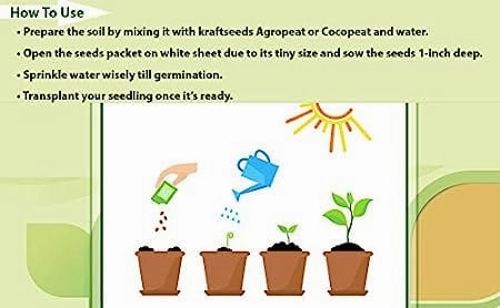 45 Varities of Vegetables 2500  Seeds With Instruction Manual