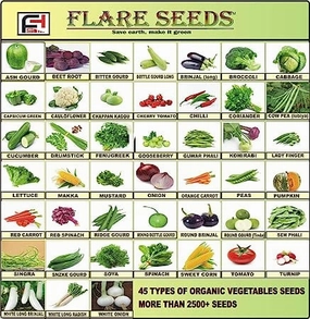 45 Varities of Vegetables 2500  Seeds With Instruction Manual small bud vase  