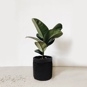 5 inch Cotton Black Pot Planter Bag desktop planter  