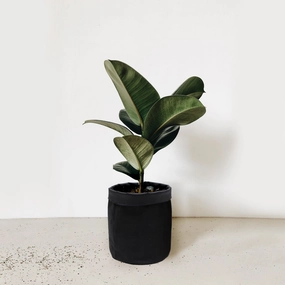 5 inch Cotton Black Pot Planter Bag hanging green plant  