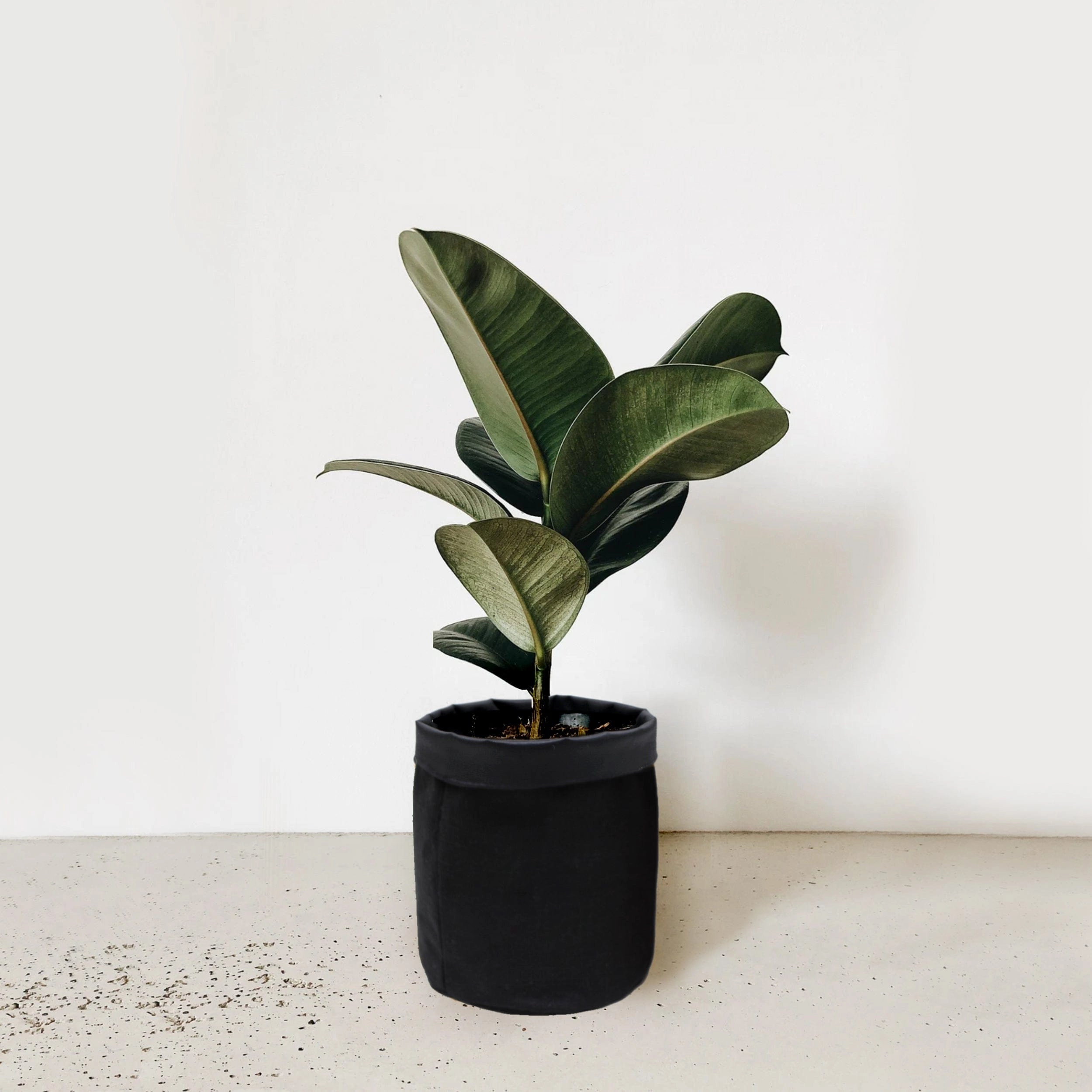 5 inch Cotton Black Pot Planter Bag desktop planter  