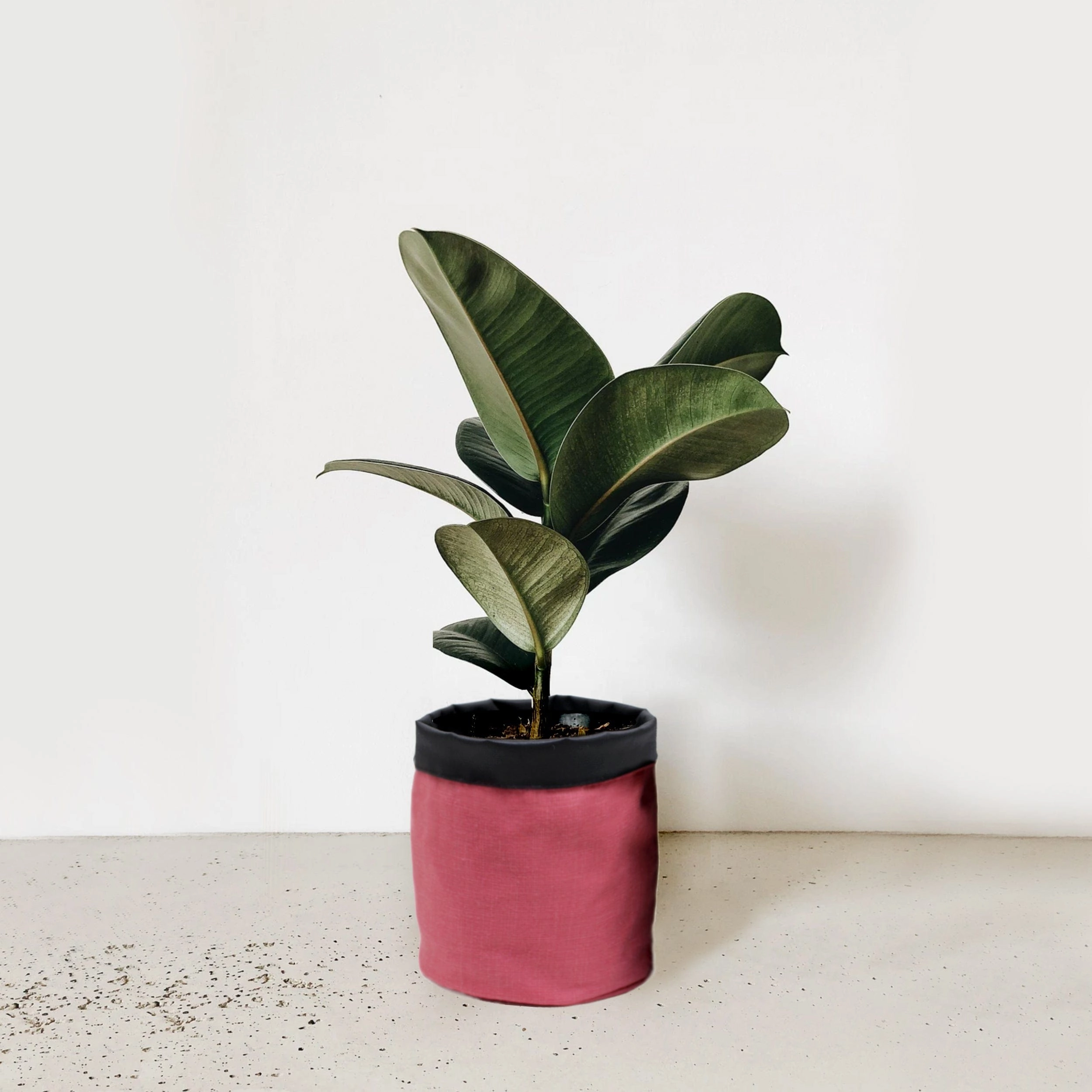 5 inch Cotton Pink Pot Planter Bag hanging green plant  