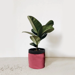 5 inch Cotton Pink Pot Planter Bag desktop planter  