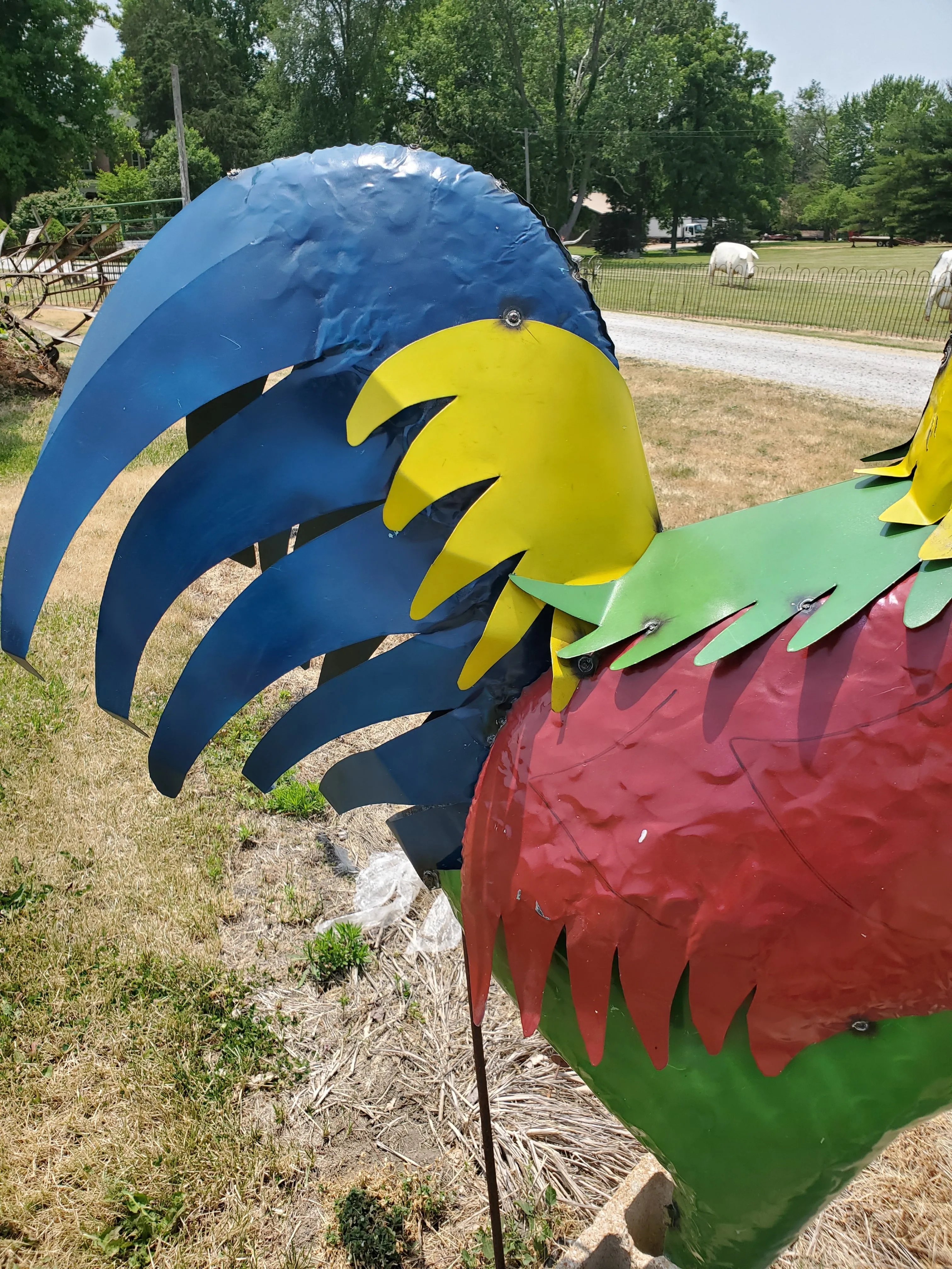 6 1/2Ft Tall Rooster