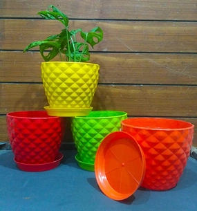 6 Inches Multicolored Plastic Table Pots (6 Pots with Trays) shade perennial  