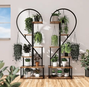 6-Tier Metal Plant Stand, Creative Half Heart Stepped Plant Stand for Home Patio Lawn Garden (2-Pack) Black cactus succulent plant  