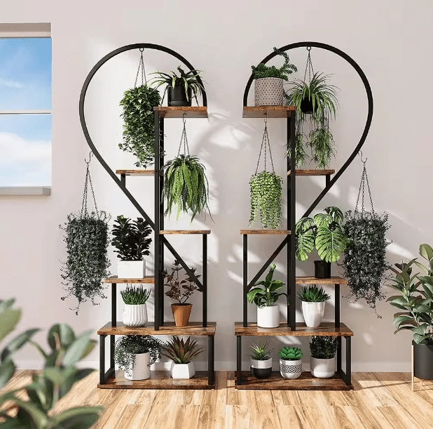 6-Tier Metal Plant Stand, Creative Half Heart Stepped Plant Stand for Home Patio Lawn Garden (2-Pack) Black cactus succulent plant  