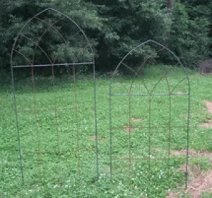72"High Mission Trellis62"High After Staking into Ground32"W decorative plants  