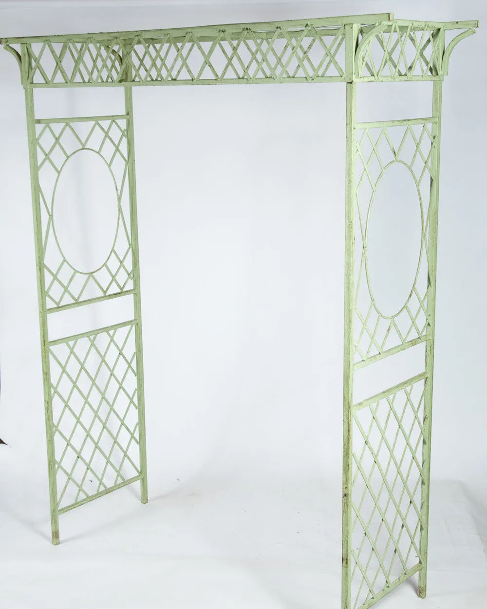 A-27:A-27 Acid Green decorative plants  