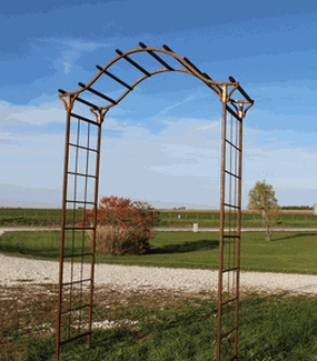 A312 decorative plants  