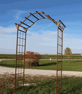 A312 decorative plants  