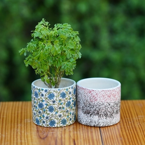  beautiful flower pot
