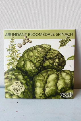 Abundant Bloomsdale Spinach Art Pack Seeds decorative flowerpot  