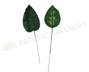 ACC0009 Small Dieff Leaf 2 Styles dried green plant  