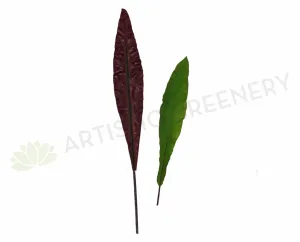 ACC0014 / LEA0025 Bird's Nest Fern / Aspidistra Single Leaf Real Touch Quality dried green plant  