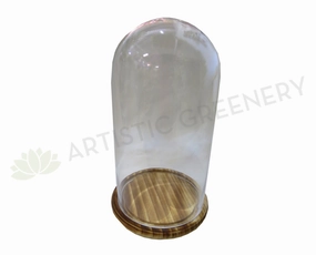 ACC0058 Glass Cloche 37cm / Glass Bell Jar with Wood Base outdoor greenery  