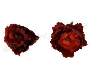 ACC0078 Individual Peony Flower Head - Deep Red / Burgundy indoor houseplants  
