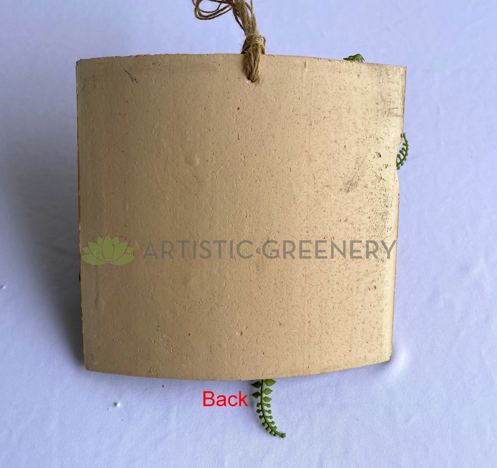 ACC0105 Succulent Art Mounted on Clay Plaque 20cm (SPECIAL)