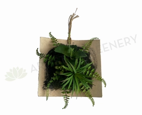 ACC0105 Succulent Art Mounted on Clay Plaque 20cm (SPECIAL) mini ornamental plant  