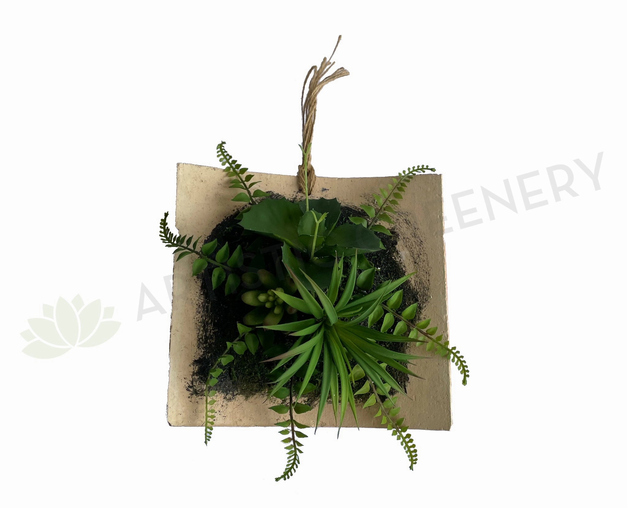 ACC0105 Succulent Art Mounted on Clay Plaque 20cm (SPECIAL) mini ornamental plant  