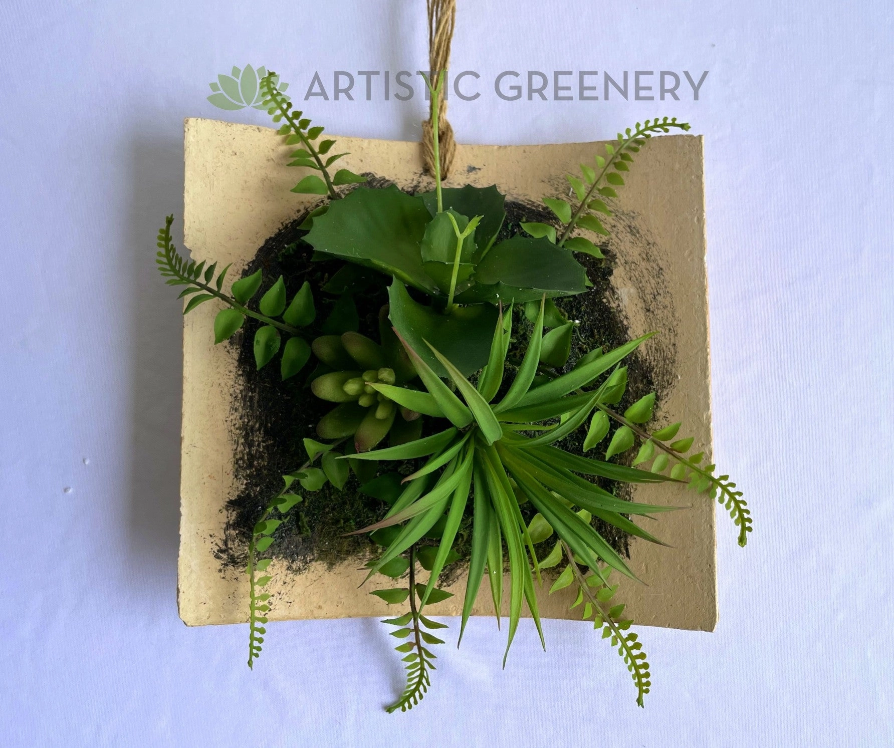 ACC0105 Succulent Art Mounted on Clay Plaque 20cm (SPECIAL)