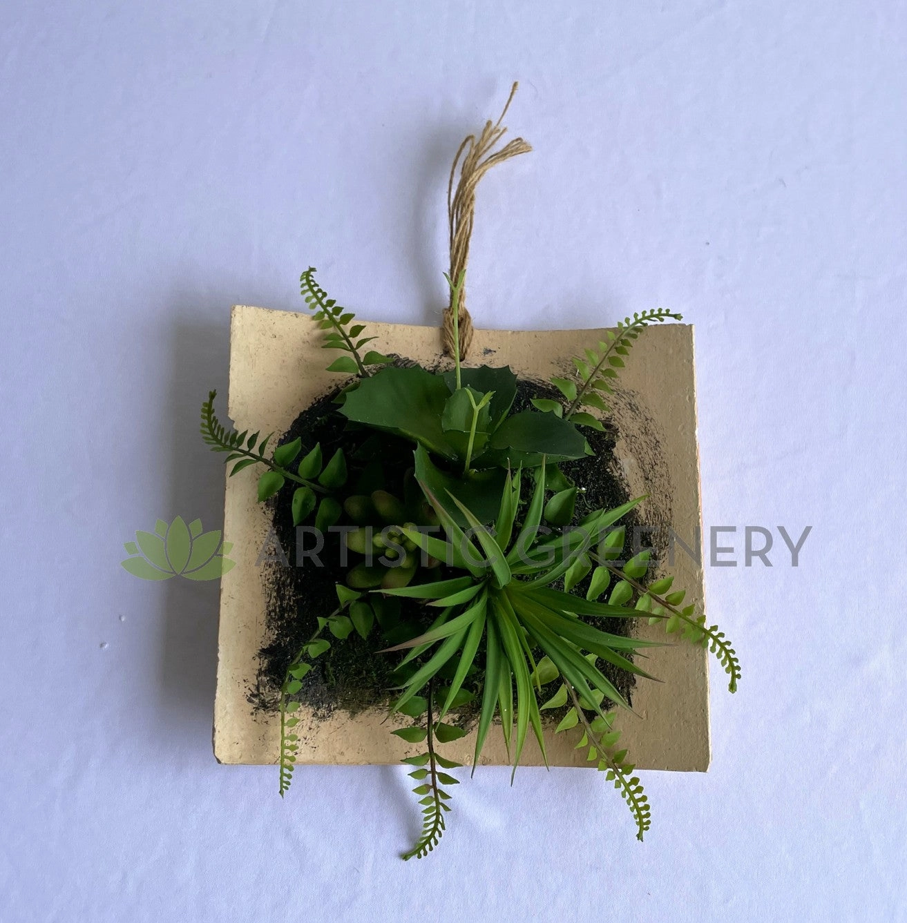 ACC0105 Succulent Art Mounted on Clay Plaque 20cm (SPECIAL)