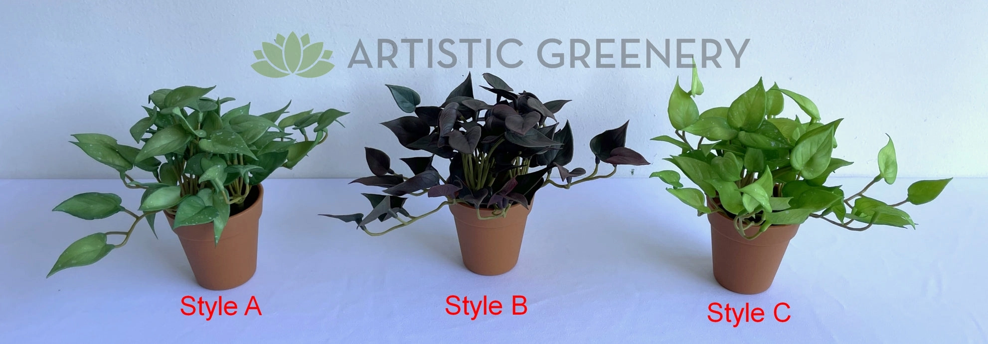 ACC0110 Small Potted Succulent 15cm 9 Styles