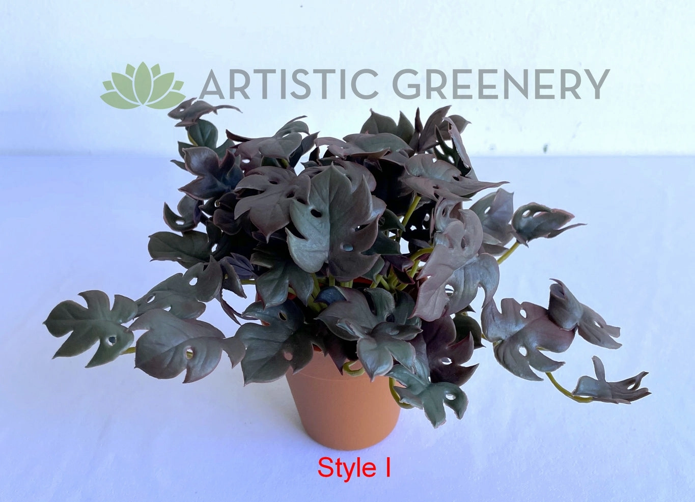 ACC0110 Small Potted Succulent 15cm 9 Styles