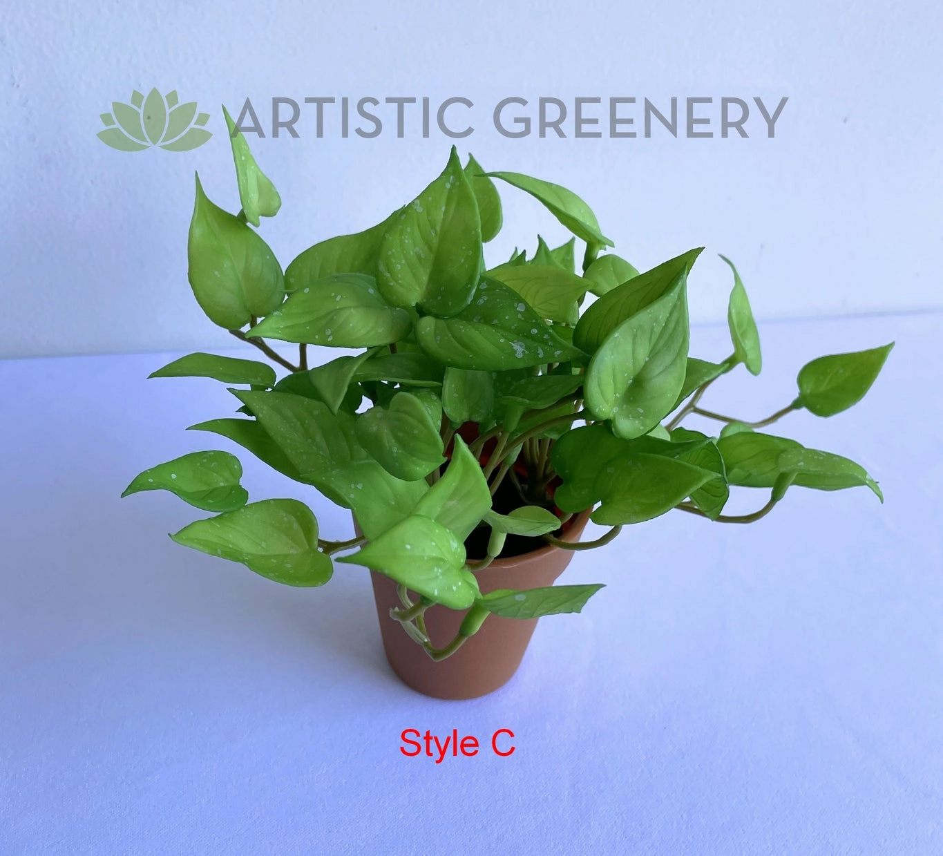 ACC0110 Small Potted Succulent 15cm 9 Styles