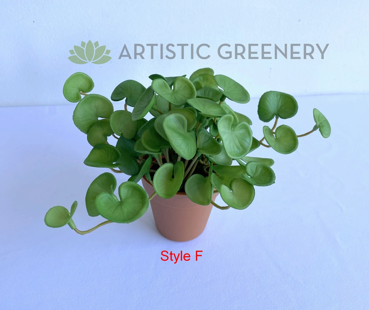 ACC0110 Small Potted Succulent 15cm 9 Styles