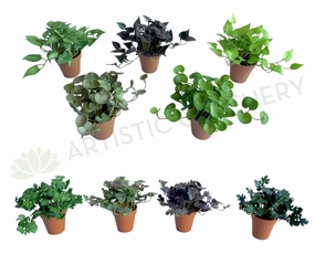 ACC0110 Small Potted Succulent 15cm 9 Styles xl flower pot  