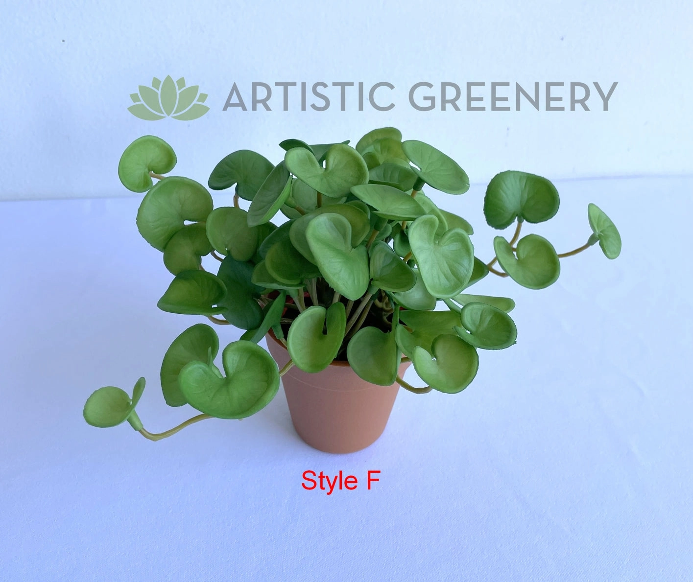 ACC0110 Small Potted Succulent 15cm 9 Styles