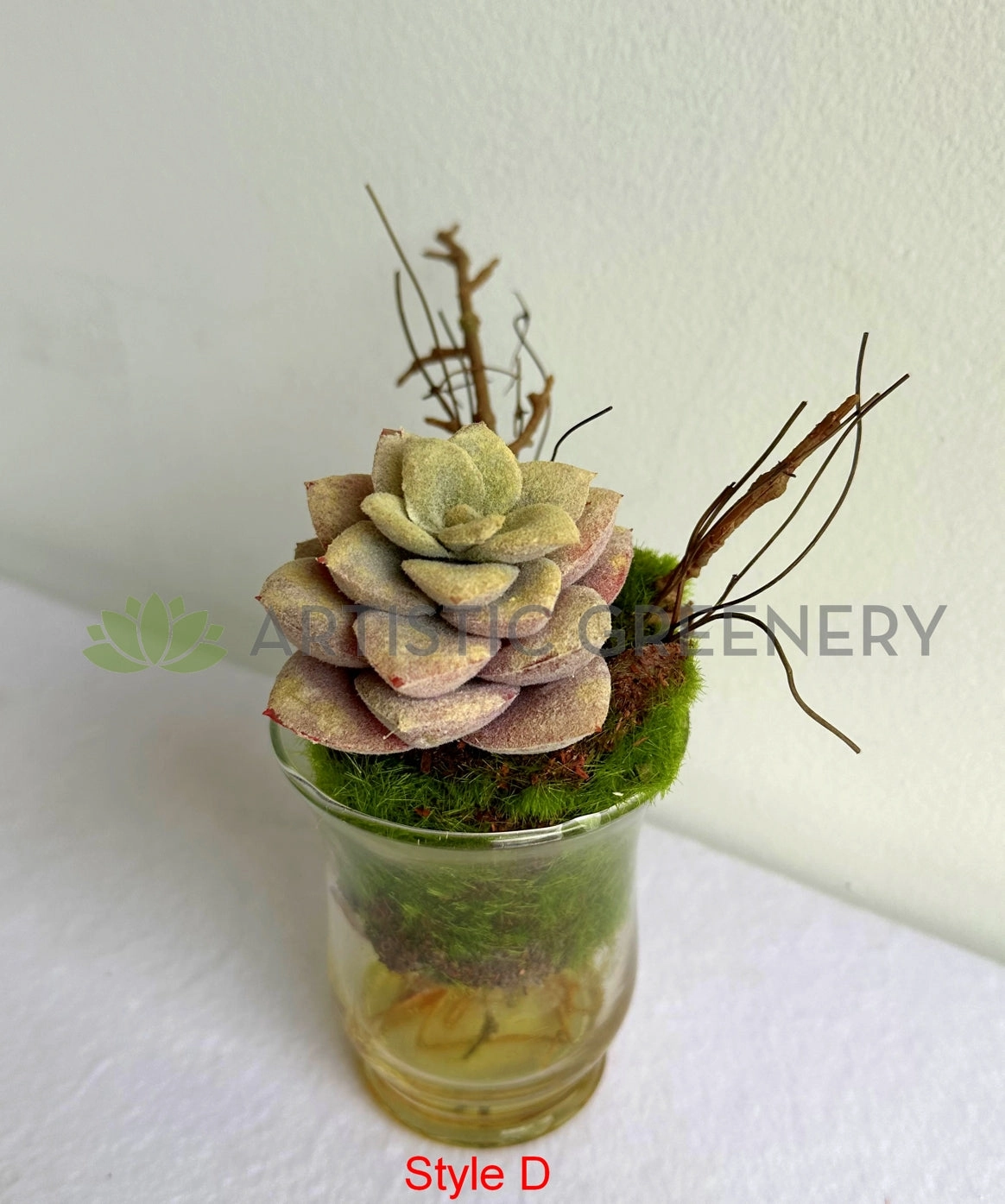 ACC0112 Potted Succulent 4 Styles